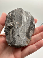 Natural Orthoceras Fossil Specimen #12