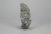 8th Vein Ocean Jasper Slab #16