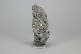 8th Vein Ocean Jasper Slab #16