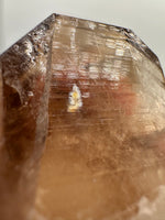 Natural Citrine Cathedral Crystal, Congo, Lightbrary #6