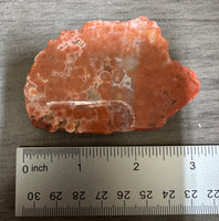 8th Vein Ocean Jasper Slab #56
