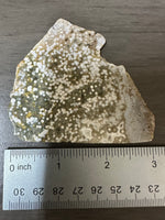 8th Vein Ocean Jasper Slab #77