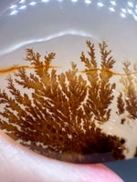 Designer Dendritic Agate Cabochon #2