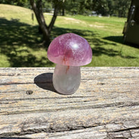 Fluorite Mushroom Carving #22