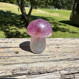 Fluorite Mushroom Carving #22