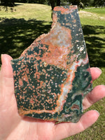 8th Vein Ocean Jasper Slab #134