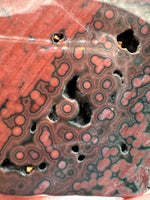 8th Vein Ocean Jasper Slab #64