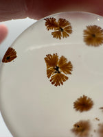 Scenic Dendritic Agate Cabochon #8