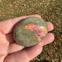 Labradorite Palmstone #30