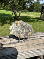 8th Vein Ocean Jasper Slab #125