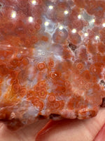8th Vein Ocean Jasper Slab #56
