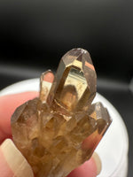 Natural Kundalini Citrine Lightbrary Crystal #13