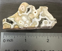 8th Vein Ocean Jasper Polished Free Form #19