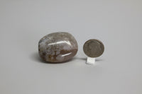 Flower Agate Palm Stone #2
