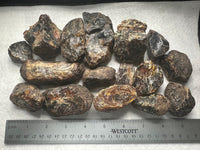 Madagascar Raw Amber One Pound Bag #1