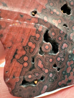 8th Vein Ocean Jasper Slab #64