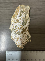 8th Vein Ocean Jasper Slab #90