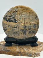 Natural Picture Jasper Slab with Stand #5