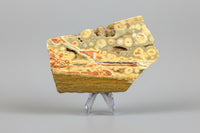 8th Vein Ocean Jasper Slab #111