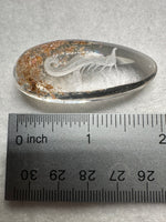 Beautiful Seahorse Garden Quartz Inner Scene with Rainbow Carving #12
