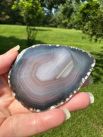 Agate Slice #16