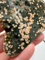 8th Vein Ocean Jasper Slab #50