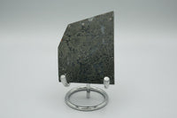 Free Form Pyrite Flowers Symbiosis Mixed Agate Slab #3