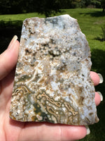 8th Vein Ocean Jasper Slab #97