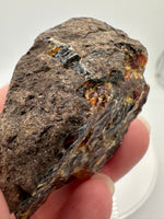 Madagascar Raw Amber Specimen #17