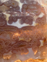 8th Vein Ocean Jasper Slab #66
