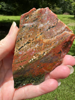 8th Vein Ocean Jasper Slab #80