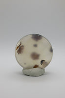 Scenic Dendritic Agate Cabochon #10