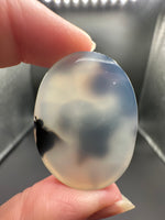 Designer Dendritic Agate Cabochon #11