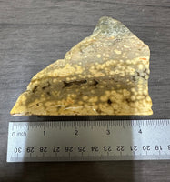 8th Vein Ocean Jasper Slab #99