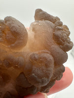 Panda Agate aka Truffle Chalcedony #3