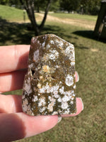 Ocean Jasper Free-form #17