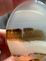 Designer Dendritic Agate Cabochon #4