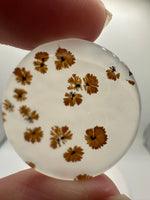 Scenic Dendritic Agate Cabochon #5