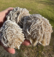 Selenite "Desert Rose," Samalayuka Desert, Chihuahua, Mexico #2