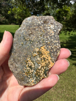 8th Vein Ocean Jasper Slab #125