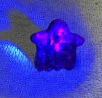 Carved Yooperlite Ghost