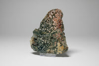 8th Vein Ocean Jasper Slab #21