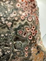 8th Vein Ocean Jasper Slab #21