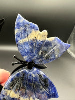 Assorted Natural Crystal Butterfly Wings with Decorative Cat Metal Stand