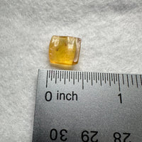 Fossil Insect Inclusion in Burmese Amber #4