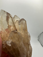 Natural Citrine Cathedral Crystal (Congo) – Kundalini Lightbrary Specimen #1