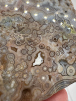 8th Vein Ocean Jasper Slab #47