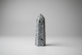 Gray Lace Agate Tower #9
