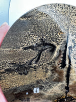 Natural Picture Jasper Slab with Stand #11