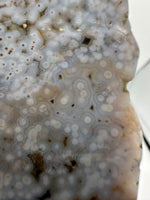 8th Vein Ocean Jasper Slab #41